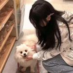 半岛官网入口网页版下载手机版